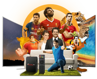 Best IPTV Subscription 2025 – HD, Sports, Movies & More